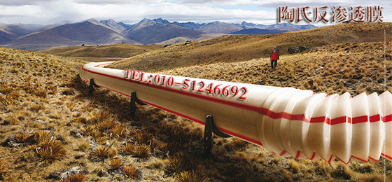 美国陶氏膜北京总代理