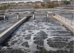 ��ˮ�����̲��ݻ��������Զչ�����ʷ���