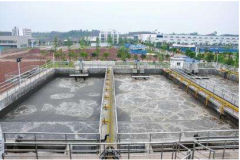 �����Զ�Ƚ��ļ�������Ⱦ��������� ��