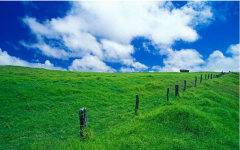 ������ҵ��Ϯ��ӯ���� �����Զ�����ɿڡ���Ǯ��