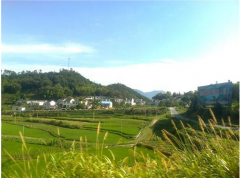 ������ҵԾ������� �����Զ��Ŭ��������̬����