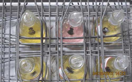 �׻���ģ���ˮ�������ⷽ����ͼ�ģ�