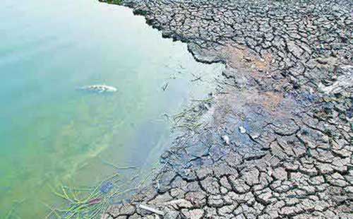 ˮ��Ⱦ��״����������ʩ���ܣ�ͼ�ģ�