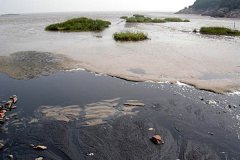 《关于加快推进水生态文明建设工作的意见》明确及要求 《关于加快推进水生态文明建设工作的意见》明确及要求