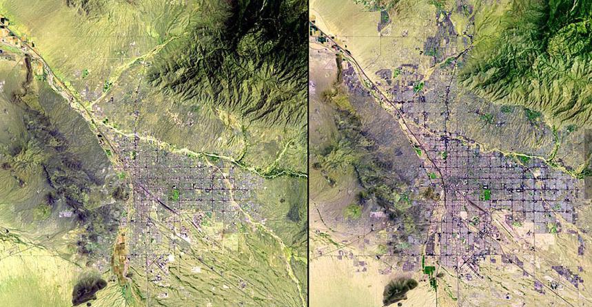 ����ɣ��������ѷ