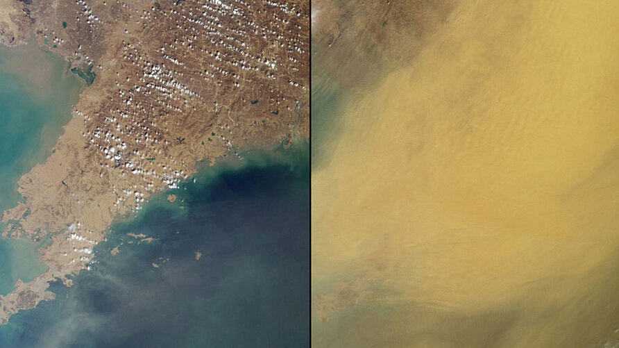 �й�����ʡ