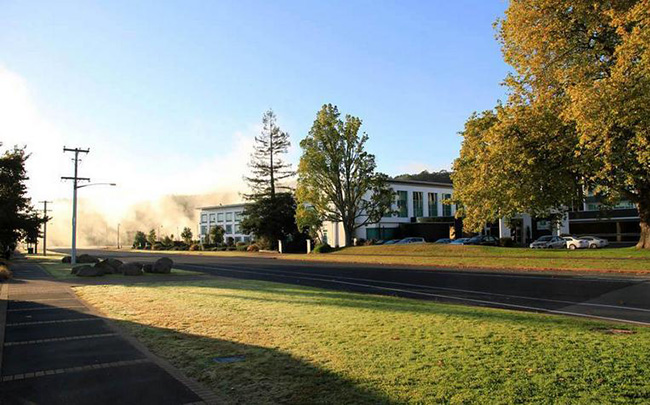 ���׵����������