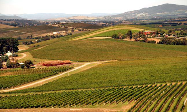 ����İĴ��������