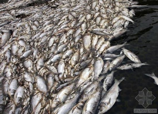 �й�ˮ��Ⱦ��������� �����򵥿���������