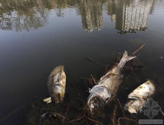 �й�ˮ��Ⱦ��������� �����򵥿���������