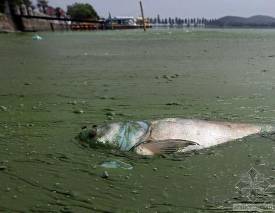 �й�ˮ��Ⱦ��������� �����򵥿���������