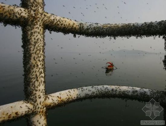 �й�ˮ��Ⱦ��������� �����򵥿���������