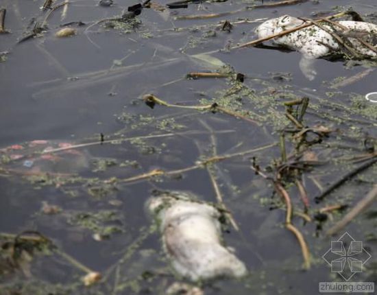 �й�ˮ��Ⱦ��������� �����򵥿���������