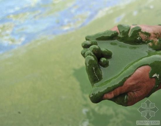 �й�ˮ��Ⱦ��������� �����򵥿���������