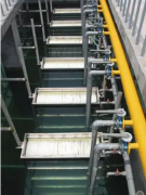 ����Ŀ������ˮ�����е�Ĥ����Ӧ��